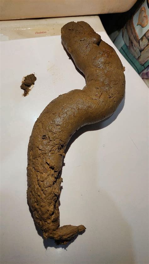 anal porn with poo|'poop anal' Search .